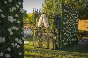 Wedding Planning Las Vegas-By-dzign-Chelsie & Alex
